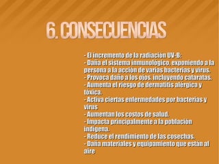 - El incremento de la radiación UV-B:- El incremento de la radiación UV-B:
- Daña el sistema inmunológico, exponiendo a la- Daña el sistema inmunológico, exponiendo a la
persona a la acción de varias bacterias y virus.persona a la acción de varias bacterias y virus.
- Provoca daño a los ojos, incluyendo cataratas.- Provoca daño a los ojos, incluyendo cataratas.
- Aumenta el riesgo de dermatitis alérgica y- Aumenta el riesgo de dermatitis alérgica y
tóxica.tóxica.
- Activa ciertas enfermedades por bacterias y- Activa ciertas enfermedades por bacterias y
virusvirus
- Aumentan los costos de salud.- Aumentan los costos de salud.
- Impacta principalmente a la población- Impacta principalmente a la población
indígena.indígena.
- Reduce el rendimiento de las cosechas.- Reduce el rendimiento de las cosechas.
- Daña materiales y equipamiento que están al- Daña materiales y equipamiento que están al
aireaire
 