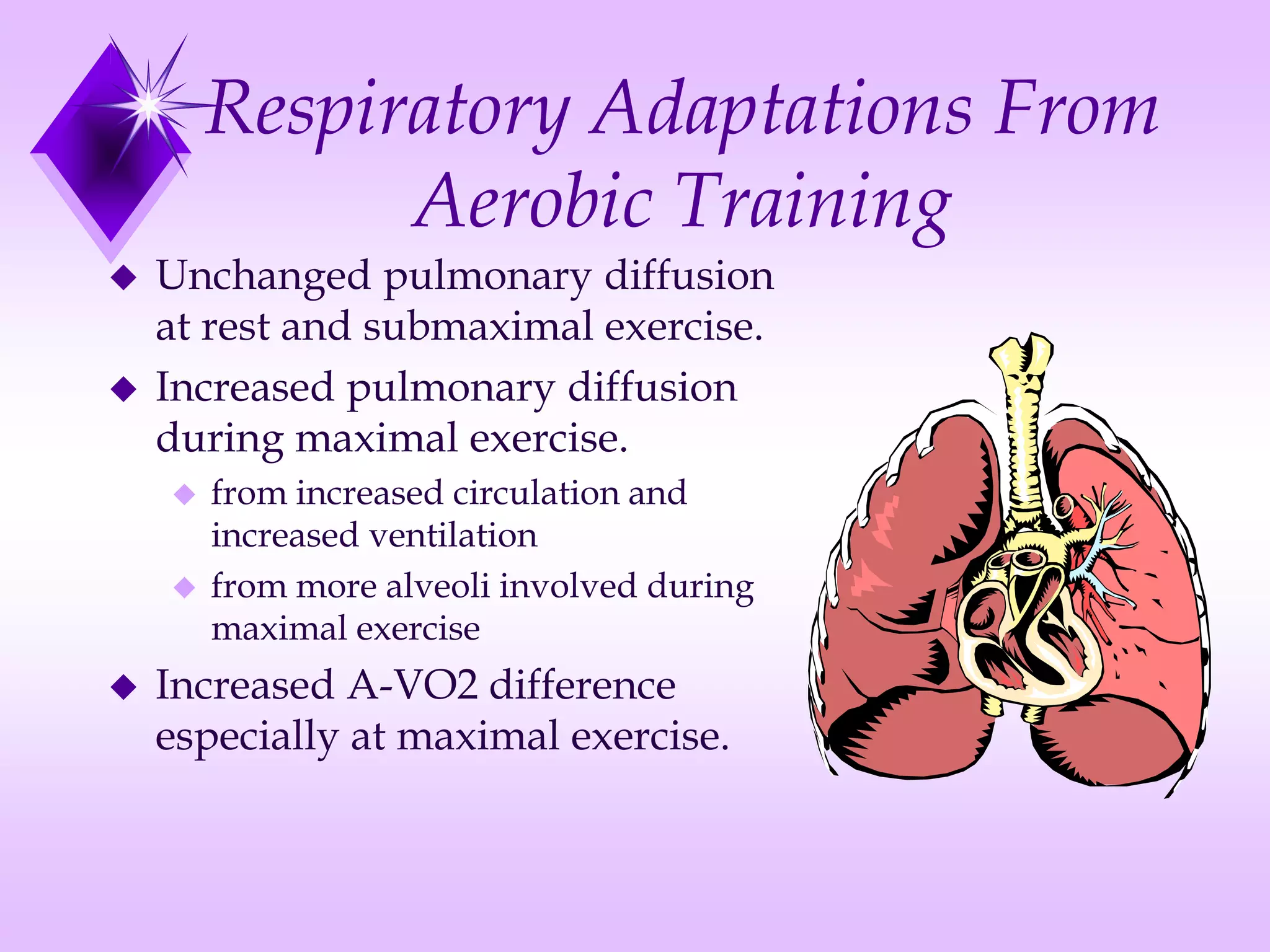 Cardiovascular adaptations to training | PPT