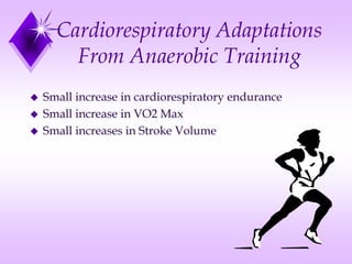 Cardiorespiratory Adaptations
From Anaerobic Training
 Small increase in cardiorespiratory endurance
 Small increase in VO2 Max
 Small increases in Stroke Volume
 