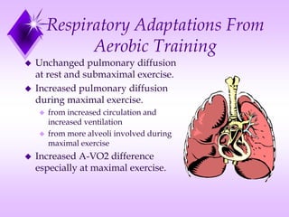 Respiratory Adaptations From
Aerobic Training
 Unchanged pulmonary diffusion
at rest and submaximal exercise.
 Increased pulmonary diffusion
during maximal exercise.
 from increased circulation and
increased ventilation
 from more alveoli involved during
maximal exercise
 Increased A-VO2 difference
especially at maximal exercise.
 