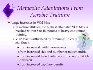Metabolic Adaptations From
Aerobic Training
 Large increases in VO2 Max
 in mature athletes, the highest attainable VO2 Max is
reached within 8 to 18 months of heavy endurance
training.
 VO2 Max is influenced by “training” in early
childhood.
 from increased oxidative enzymes
 from increased size and number of mitochondria
 from increased blood volume, cardiac output & O2
diffusion
 from increased capillary density
 