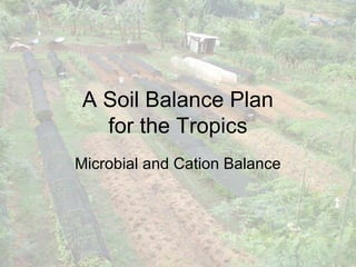 A Soil Balance Plan
   for the Tropics
Microbial and Cation Balance
 