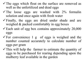6 chapter steps in silkworm egg production at grainage, egg sheets and ...