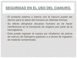 SEGURIDAD EN EL USO DEL CIANURO.
• El contacto externo o interno con el cianuro puede ser
danino para la salud del humano en distintas formas.
• Su efecto alingresar alcuerpo humano es de hacer
interferencia en el transporte de oxigeno por parte de la
hemoglobina.
• Este puede ingresar al cuerpo por inhalacion de polvos
de cianuro de hidrogeno gaseoso o a tarves de ingestion
de material contaminado.
 