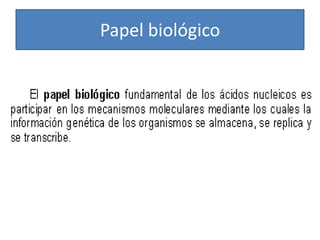 Papel biológico

 