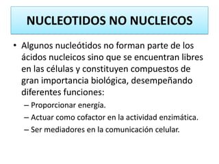 NUCLEOTIDOS NO NUCLEICOS
• Algunos nucleótidos no forman parte de los
ácidos nucleicos sino que se encuentran libres
en las células y constituyen compuestos de
gran importancia biológica, desempeñando
diferentes funciones:
– Proporcionar energía.
– Actuar como cofactor en la actividad enzimática.
– Ser mediadores en la comunicación celular.

 
