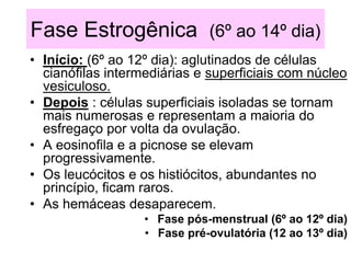 Fase Estrogênica (6º ao 14º dia)
• Início: (6º ao 12º dia): aglutinados de células
cianófilas intermediárias e superficiais com núcleo
vesiculoso.
• Depois : células superficiais isoladas se tornam
mais numerosas e representam a maioria do
esfregaço por volta da ovulação.
• A eosinofila e a picnose se elevam
progressivamente.
• Os leucócitos e os histiócitos, abundantes no
princípio, ficam raros.
• As hemáceas desaparecem.
• Fase pós-menstrual (6º ao 12º dia)
• Fase pré-ovulatória (12 ao 13º dia)
 