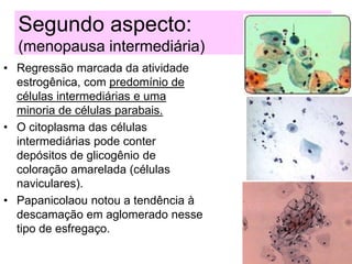 Segundo aspecto:
(menopausa intermediária)
• Regressão marcada da atividade
estrogênica, com predomínio de
células intermediárias e uma
minoria de células parabais.
• O citoplasma das células
intermediárias pode conter
depósitos de glicogênio de
coloração amarelada (células
naviculares).
• Papanicolaou notou a tendência à
descamação em aglomerado nesse
tipo de esfregaço.
 