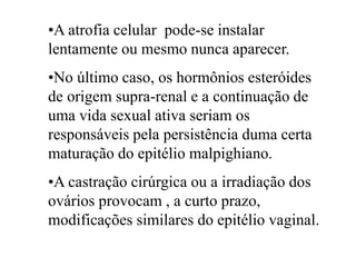 •A atrofia celular pode-se instalar
lentamente ou mesmo nunca aparecer.
•No último caso, os hormônios esteróides
de origem supra-renal e a continuação de
uma vida sexual ativa seriam os
responsáveis pela persistência duma certa
maturação do epitélio malpighiano.
•A castração cirúrgica ou a irradiação dos
ovários provocam , a curto prazo,
modificações similares do epitélio vaginal.
 