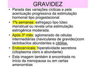 GRAVIDEZ
• Parada das variações cíclicas e pela
acentuação progressiva da estimulação
hormonal tipo progestacional
• 1ªs semanas: esfregaço tipo lúteo
menstrual ou revela uma estimulação
estrogênica moderada.
• Após 3º mês: aglomerado de células
intermediárias (naviculares de gravidez)com
lactobacilos abundantes e citólise.
• Endocervicais: hiperatividade secretora
(citoplasma claro e abundante)
• Esta imagem também é encontrada no
início da menopausa ou em certas
amenorréias
 