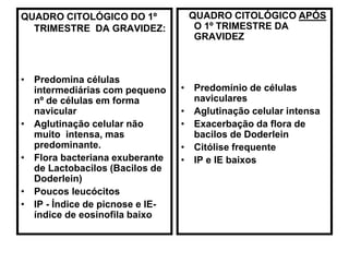 QUADRO CITOLÓGICO DO 1º
TRIMESTRE DA GRAVIDEZ:
• Predomina células
intermediárias com pequeno
nº de células em forma
navicular
• Aglutinação celular não
muito intensa, mas
predominante.
• Flora bacteriana exuberante
de Lactobacilos (Bacilos de
Doderlein)
• Poucos leucócitos
• IP - Índice de picnose e IE-
índice de eosinofila baixo
QUADRO CITOLÓGICO APÓS
O 1º TRIMESTRE DA
GRAVIDEZ
• Predomínio de células
naviculares
• Aglutinação celular intensa
• Exacerbação da flora de
bacilos de Doderlein
• Citólise frequente
• IP e IE baixos
 