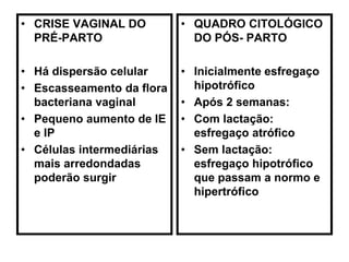 • CRISE VAGINAL DO
PRÉ-PARTO
• Há dispersão celular
• Escasseamento da flora
bacteriana vaginal
• Pequeno aumento de IE
e IP
• Células intermediárias
mais arredondadas
poderão surgir
• QUADRO CITOLÓGICO
DO PÓS- PARTO
• Inicialmente esfregaço
hipotrófico
• Após 2 semanas:
• Com lactação:
esfregaço atrófico
• Sem lactação:
esfregaço hipotrófico
que passam a normo e
hipertrófico
 