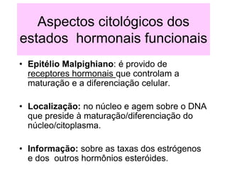 Aspectos citológicos dos
estados hormonais funcionais
• Epitélio Malpighiano: é provido de
receptores hormonais que controlam a
maturação e a diferenciação celular.
• Localização: no núcleo e agem sobre o DNA
que preside à maturação/diferenciação do
núcleo/citoplasma.
• Informação: sobre as taxas dos estrógenos
e dos outros hormônios esteróides.
 