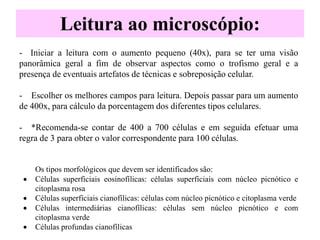 - Iniciar a leitura com o aumento pequeno (40x), para se ter uma visão
panorâmica geral a fim de observar aspectos como o trofismo geral e a
presença de eventuais artefatos de técnicas e sobreposição celular.
- Escolher os melhores campos para leitura. Depois passar para um aumento
de 400x, para cálculo da porcentagem dos diferentes tipos celulares.
- *Recomenda-se contar de 400 a 700 células e em seguida efetuar uma
regra de 3 para obter o valor correspondente para 100 células.
Os tipos morfológicos que devem ser identificados são:
 Células superficiais eosinofílicas: células superficiais com núcleo picnótico e
citoplasma rosa
 Células superficiais cianofílicas: células com núcleo picnótico e citoplasma verde
 Células intermediárias cianofílicas: células sem núcleo picnótico e com
citoplasma verde
 Células profundas cianofílicas
Leitura ao microscópio:
 