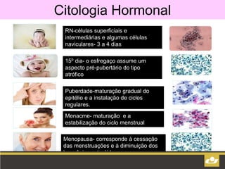 Citologia Hormonal
RN-células superficiais e
intermediárias e algumas células
naviculares- 3 a 4 dias
15º dia- o esfregaço assume um
aspecto pré-pubertário do tipo
atrófico
Puberdade-maturação gradual do
epitélio e a instalação de ciclos
regulares.
Menacme- maturação e a
estabilização do ciclo menstrual
Menopausa- corresponde à cessação
das menstruações e à diminuição dos
hormônios esteróides
 