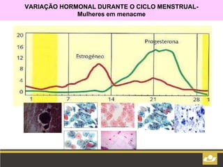 VARIAÇÃO HORMONAL DURANTE O CICLO MENSTRUAL-
Mulheres em menacme
 