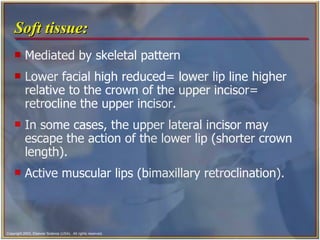 Soft tissue: Mediated by skeletal pattern Lower facial high reduced= lower lip line higher relative to the crown of the upper incisor= retrocline the upper incisor. In some cases, the upper lateral incisor may escape the action of the lower lip (shorter crown length). Active muscular lips (bimaxillary retroclination).  