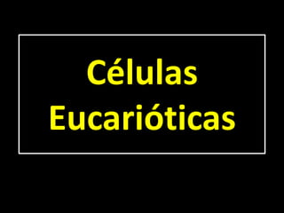 Células
Eucarióticas
 