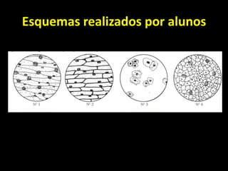 Esquemas realizados por alunos
 