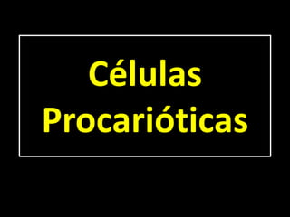 Células
Procarióticas
 
