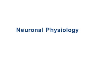 Neuronal Physiology 