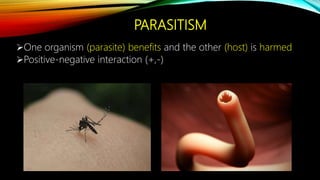 PARASITISM
One organism (parasite) benefits and the other (host) is harmed
Positive-negative interaction (+,-)
 