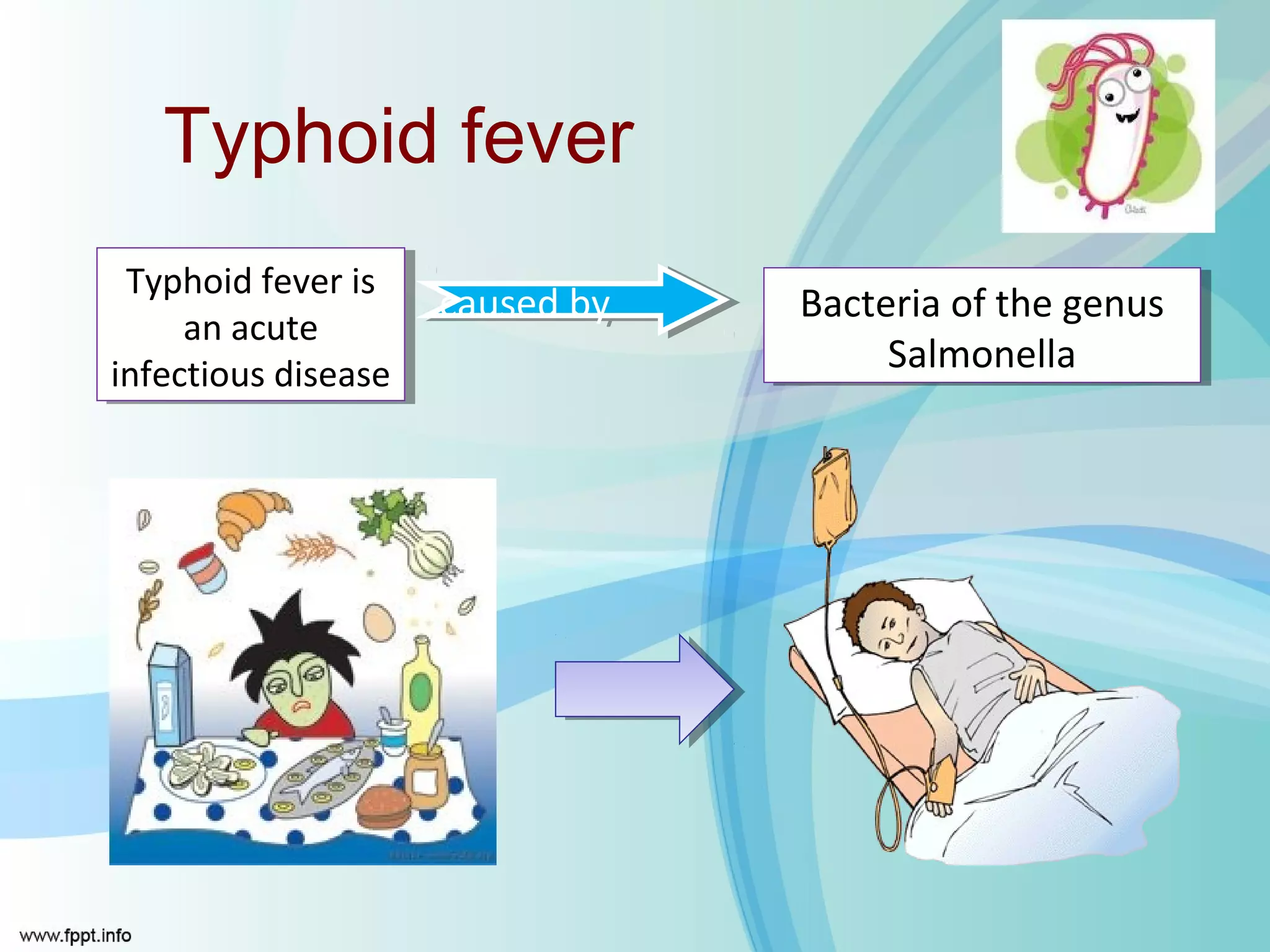 Typhoid fever
  Typhoid fever is
   Typhoid fever is
                    caused by
                     caused by   Bacteria of the genus
                                 Bacteria of the genus
      an acute
       an acute
infectious disease                    Salmonella
                                       Salmonella
 infectious disease
 