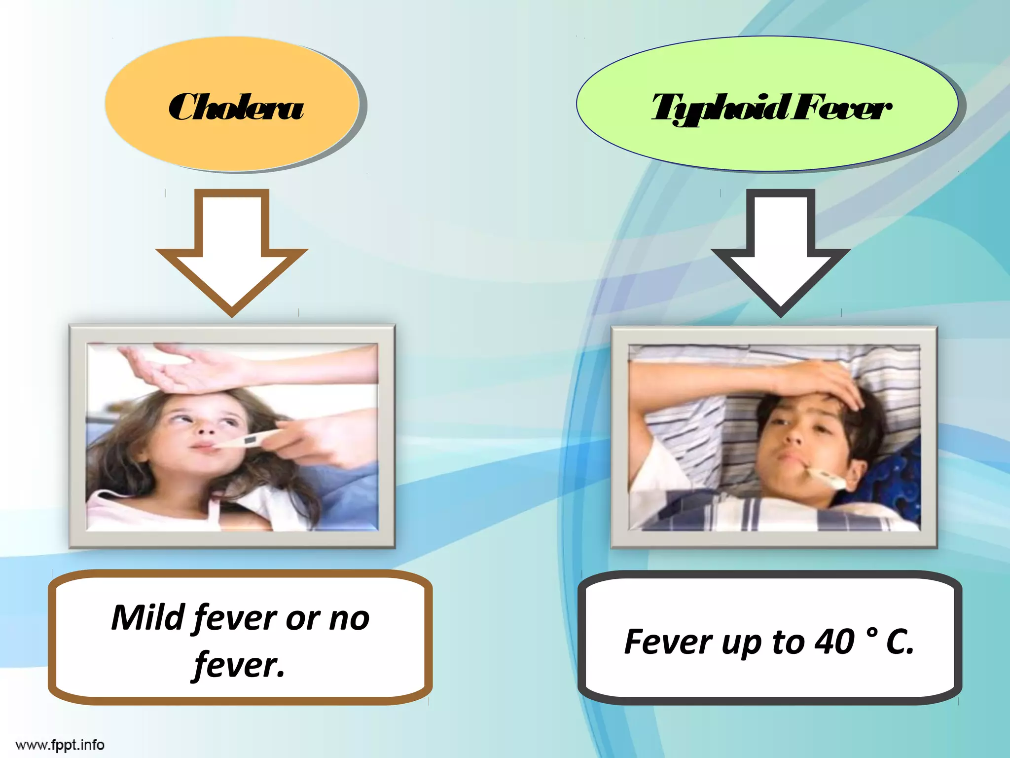 Cholera
   Cholera          TyphoidFever
                    Typhoid Fever




Mild fever or no
                   Fever up to 40 ° C.
     fever.
 