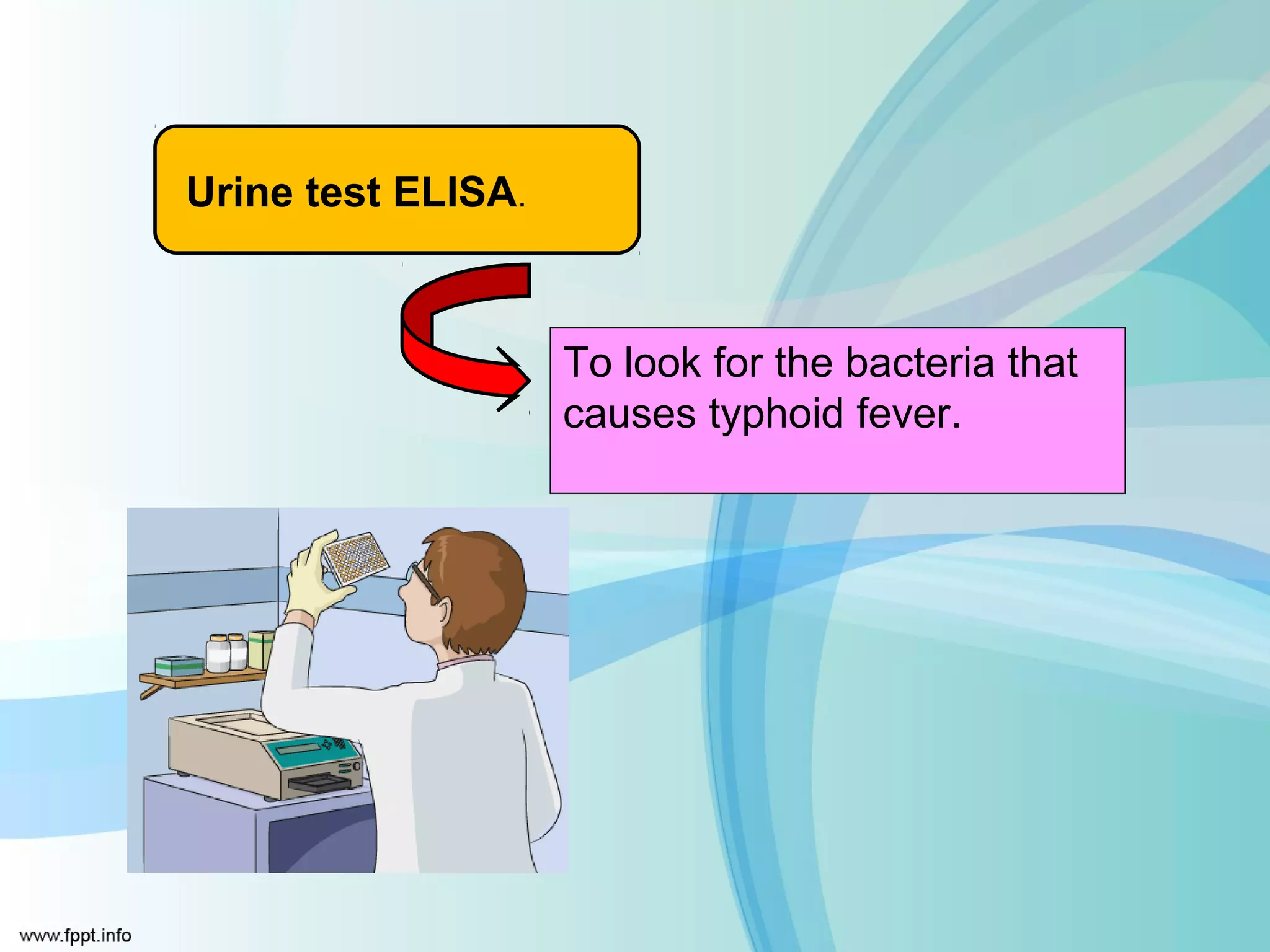 Urine test ELISA.



                    To look for the bacteria that
                    causes typhoid fever.
 