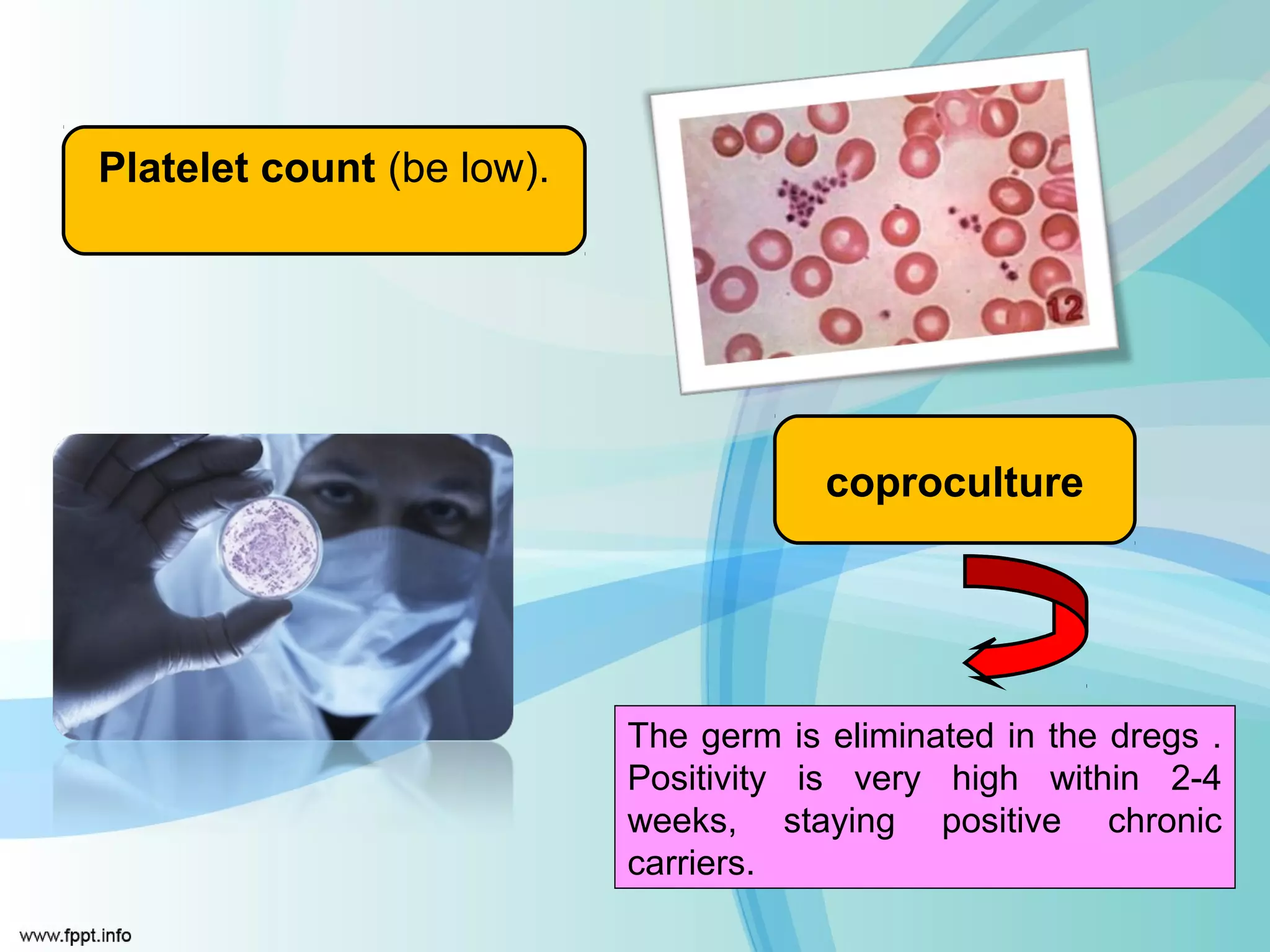 Platelet count (be low).




                                       coproculture
  .




                           The germ is eliminated in the dregs .
                           Positivity is very high within 2-4
                           weeks, staying positive chronic
                           carriers.
 