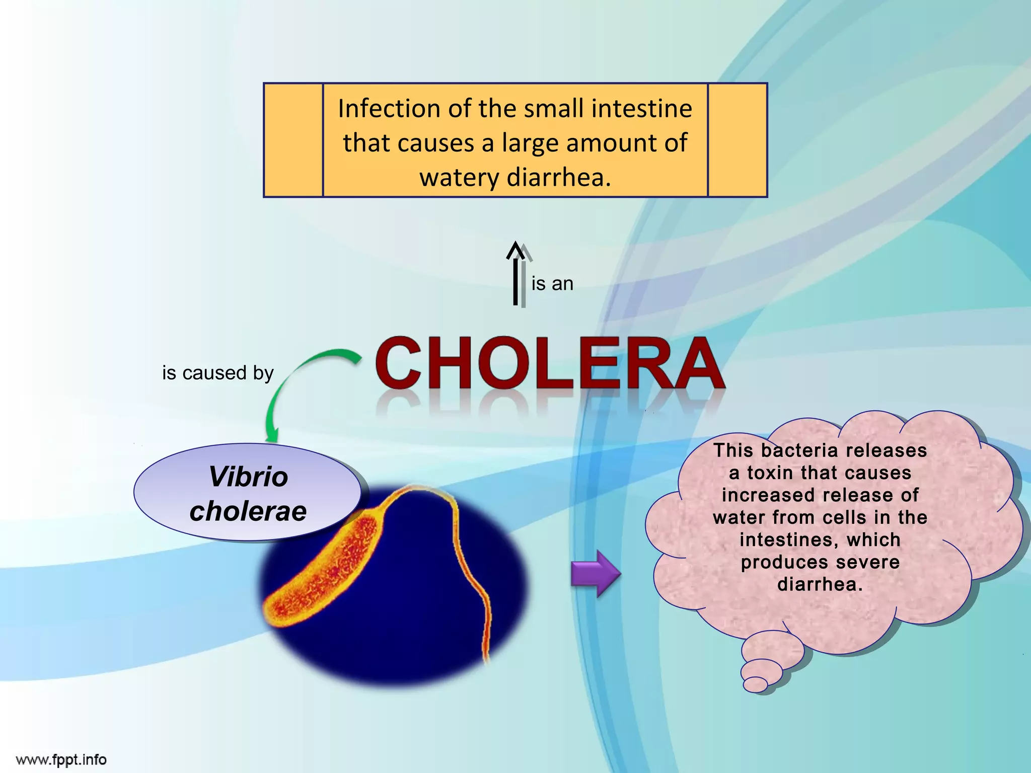 Infection of the small intestine
                that causes a large amount of
                       watery diarrhea.


                                is an



is caused by


                                                  This bacteria releases
                                                   This bacteria releases
    Vibrio                                          aatoxin that causes
                                                       toxin that causes
    Vibrio                                         increased release of
                                                    increased release of
  cholerae
   cholerae                                       water from cells in the
                                                   water from cells in the
                                                     intestines, which
                                                      intestines, which
                                                     produces severe
                                                      produces severe
                                                         diarrhea.
                                                          diarrhea.
 