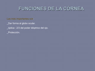Las más importantes son:
_Dar forma al globo ocular.
_óptica : 2/3 del poder dióptrico del ojo.
_Protección.
 