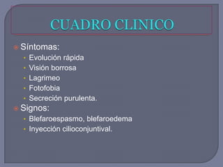  Síntomas:
  • Evolución rápida
  • Visión borrosa
  • Lagrimeo
  • Fotofobia
  • Secreción purulenta.
 Signos:
  • Blefaroespasmo, blefaroedema
  • Inyección cilioconjuntival.
 
