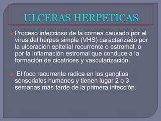  Proceso     infeccioso de la cornea causado por el
    virus del herpes simple (VHS) caracterizado por
    la ulceración epitelial recurrente o estromal, o
    por la inflamación estromal que conduce a la
    formación de cicatrices y vascularización.

    El foco recurrente radica en los ganglios
    sensoriales humanos y tienen lugar 2 o 3
    semanas más tarde de la primera infección.
 