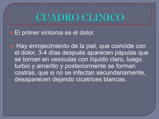  El   primer síntoma es el dolor.

    Hay enrojecimiento de la piel, que coincide con
    el dolor, 3-4 días después aparecen pápulas que
    se tornan en vesículas con líquido claro, luego
    turbio y amarillo y posteriormente se forman
    costras, que si no se infectan secundariamente,
    desaparecen dejando cicatrices blancas.
 