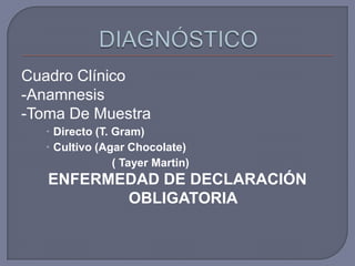 Cuadro Clínico
-Anamnesis
-Toma De Muestra
    Directo (T. Gram)
    Cultivo (Agar Chocolate)
                 ( Tayer Martin)
   ENFERMEDAD DE DECLARACIÓN
          OBLIGATORIA
 