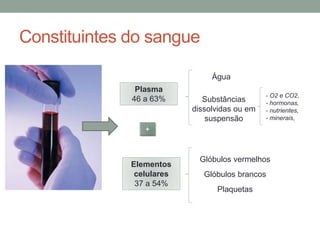Constituintes do sangue
Plasma
46 a 63%
+
Elementos
celulares
37 a 54%
Glóbulos vermelhos
Glóbulos brancos
Plaquetas
Água
Substâncias
dissolvidas ou em
suspensão
- O2 e CO2,
- hormonas,
- nutrientes,
- minerais,
 