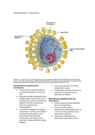 Coronavirus y  Noravirus<br />Modelo ce un coronavirus. La nucleocápside vírica es una larga hélice flexible formada del ARN genómico de cadena positiva numerosas moléculas de la nucleoproteína N fosforilada. La envoltura vírica se compone de una bicapa lipídica derivada de la membrana intracelular de la célula anfitriona y dos glucoproteínas virales (El y E2).<br />Características propias de los coronavirus<br />El virión tiene un tamaño medio con un aspecto semejante a una corona solar<br />El genoma de ARN monocatenario de sentido positivo está incluido en una envoltura que contiene la proteína de adhesión vírica E2, la proteína de matriz El y la proteína de nucleocápside N<br />La traducción del genoma se ejecuta en dos fases: 1) la fase inicial produce una polimerasa de ARN (L), y 2) la fase tardía produce proteínas estructurales y no estructurales a partir de un molde de ARN de sentido negativo<br />El virus se ensambla en el retículo endoplásmico rugoso.<br />El aislamiento y la detección del virus a partir de los cultivos celulares habituales son difíciles<br />Mecanismos patogénicos de los coronavirus<br />El virus infecta las células epiteliales de las vías respiratorias<br />El virus se replica mejor a temperaturas comprendidas entre 33 y 35 °C; por tanto, prefiere las vías respiratorias superiores<br />Se producen reinfecciones en presencia de anticuerpos séricos<br />La «corona» glicoproteica favorece la supervivencia de estos virus con envoltura en el tubo digestivo<br />Las respuestas inflamatorias reagudizan el síndrome respiratorio agudo severo.<br />Principales proteínas  de los coronavirus humanos Proteínas Peso molecular (kDa) Localización Funciones E2 (glucoproteína peplomérica) 160-200 Proyecciones de la envoltura (peplómero) Unión a las células anfitrionas; actividad de fusión Hl (hemaglutinina) 60-66 Peplómero Hemaglutinación N (nucleoproteína) 47-55 Centro vírico Ribonucleoproteína El (glucoproteína de matriz) 20-30 Envoltura Proteína transmembrana L (polimerasa) 225 Célula infectada Actividad de polimerasa <br />Replicación de coronavirus humanos, la glucoproteína E2 interacciona con receptores de las células epiteliales, el virus se fusiona yentra en la célula por endocitosis y el genoma se libera en el citoplasma. La síntesis proteica se divide en una fase inicial y otra tardía semejantes a las de los togavirus. El genoma se une a los ribosomas y se traduce una polimerasa de ARN dependiente de ARN. Esta enzima genera un molde de ARN de sentido negativo y longitud completa que produce nuevos genomas virales y 6 ARNm diferentes para las restantes proteínas virales. El genoma se asocia a las membranas del retículo endoplásmico rugoso modificadas por las proteínas virales y emerge hacia la luz de esta estructura. Las vesículas que contienen virus migran hacia la membrana celular y son liberadas por exocitosis<br />Características de los norovirus<br />Los virus poseen una cápside pequeña, cuya morfología permite distinguirlos<br />Los virus son resistentes a determinadas condiciones ambientales: detergentes, desecación y ácido<br />Los virus se transmiten por vía feco-oral a través de agua y alimentos contaminados<br />Los virus provocan brotes de gastroenteritis<br />La enfermedad remite en un plazo de 48 horas sin consecuencias graves<br />Resúmenes clínicos<br />Coronavirus<br />Resfriado común: una persona de 25 años presenta una nariz que moquea, tos leve y malestar acompañado de febrícula. Un compañero de trabajo ha presentado unos síntomas semejantes últimamente<br />SARS: un hombre de negocios de 45 años regresó de un viaje de dos semanas de duración a China. Cinco días después de volver a EE.UU., presentó fiebre de 38,6 °C y tos. En la actualidad percibe que le cuesta más contener la respiración<br />Norovirus<br />Virus de Norwalk: el tercer día de un crucero (período de incubación de 24 a 60 horas), un grupo de 45 pasajeros presenta diarrea líquida, náuseas y vómitos que se mantienen durante un período comprendido entre 12 y 60 horas, dependiendo de cada sujeto<br />