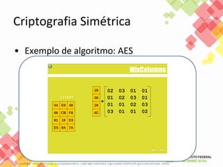 • Exemplo de algoritmo: AES
Criptografia Simétrica
fonte: http://blog.ultrassecreto.com/wp-content/uploads/2009/06/projetofinal.html
 