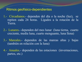 Ritmos geofísico-dependientes

1.- Circadianos.- dependen del día o la noche (luz), se
   repiten cada 24 horas. Ligados a la rotación de la
   Tierra.

2.- Lunares.- dependen del mes lunar (luna tierna, cuarto
   creciente, media luna, cuarto menguante, luna llena)

3.- Mareales.- dependen de las mareas altas y bajas
   (también en relación con la luna)

4.- Anuales.- dependen de las estaciones (invernaciones,
   partos, etc.)
 