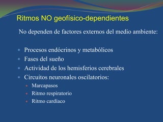 Ritmos NO geofísico-dependientes
No dependen de factores externos del medio ambiente:

 Procesos endócrinos y metabólicos
 Fases del sueño
 Actividad de los hemisferios cerebrales
 Circuitos neuronales oscilatorios:
   Marcapasos

   Ritmo respiratorio

   Ritmo cardíaco
 