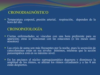 Cronobiologia definicion hotsell