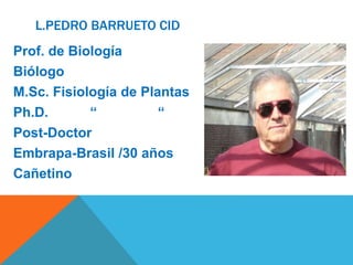 L.PEDRO BARRUETO CID
Prof. de Biología
Biólogo
M.Sc. Fisiología de Plantas
Ph.D. “ “
Post-Doctor
Embrapa-Brasil /30 años
Cañetino
 
