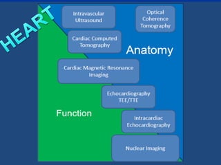 Chapter 6- Chest & Cardiovascular radiology.pdf
