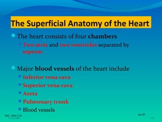 The Superficial Anatomy of the Heart
    The heart consists of four chambers
          Two atria and two ventricles separated by
                septum

    Major blood vessels of the heart include
          Inferior vena cava
          Superior vena cava
          Aorta
          Pulmonary trunk
          Blood vessels
HSC 1004-3/10                                          Jan 08
  •3/26/2009                                                    •10
 