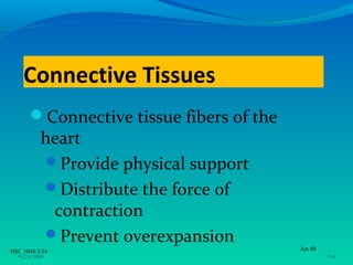 Connective Tissues
      Connective tissue fibers of the
          heart
          Provide physical support
          Distribute the force of
           contraction
          Prevent overexpansion
HSC 1004-3/14                            Jan 08
  •3/26/2009                                      •14
 