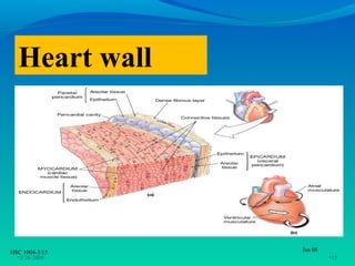 Heart wall




HSC 1004-3/15   Jan 08
  •3/26/2009             •15
 