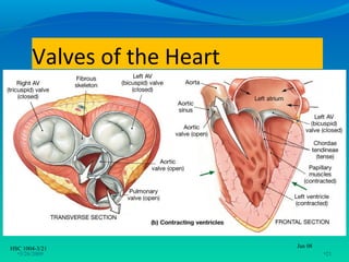 Valves of the Heart




HSC 1004-3/21                Jan 08
  •3/26/2009                          •21
 