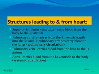Structures leading to & from heart:
       Superior & inferior vena cava – carry blood from the
        body to the Rt atrium
       Pulmonary artery- arises from the Rt ventricle,spilt
        into the Rt and Lt pulmonary arteries,carry blood to
        the lungs ( pulmonary circulation)
       Pulmonary vein –carries blood from the lung to the Lt
        atrium
       Aorta- carries blood from the Lt ventricle to the body
        (systemic circulation)

HSC 1004-3/22                                             Jan 08
  •3/26/2009                                                       •22
 
