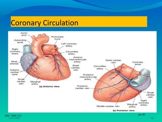 Coronary Circulation




HSC 1004-3/25              Jan 08
  •3/26/2009                        •25
 